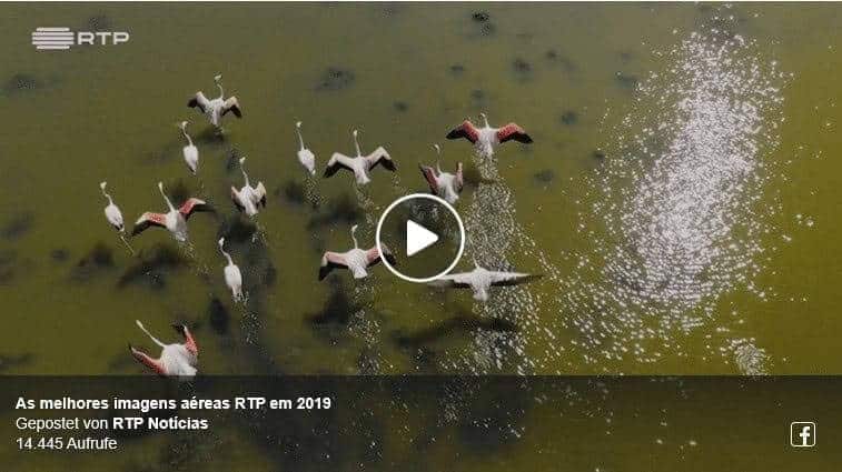 Imagens aéreas RTP 2019