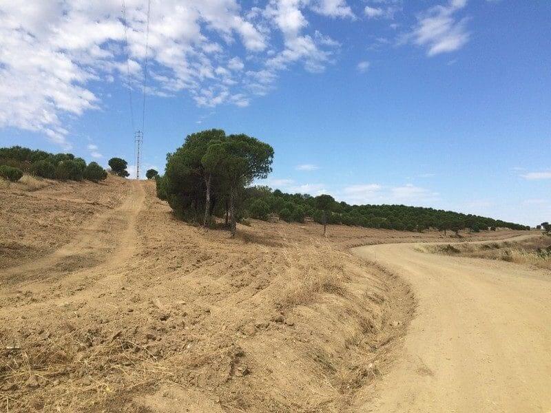 GFA de Mértola com financiamento aprovado