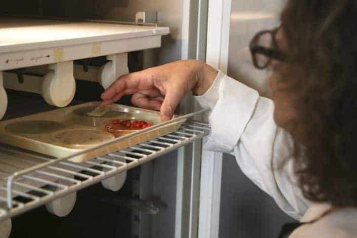 Incidência da Pandemia sobe na Huelva vizinha do Algarve