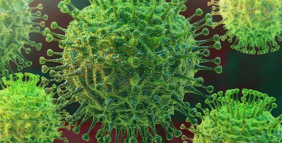 PCP propõe plano de emergência para o SNS