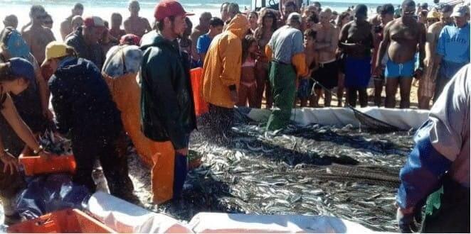 BE quer pesca local autorizada nos fins de semana