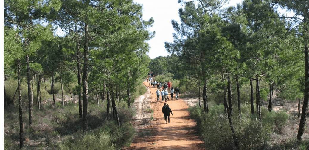 Mata das Dunas Litorais candidata à rede INHERITURA