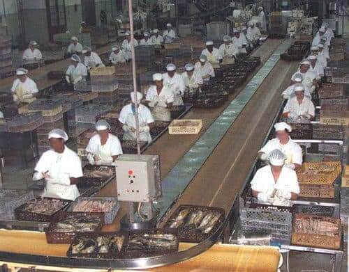 Subsídio de desemprego dos trabalhadores da COFACO – Açores