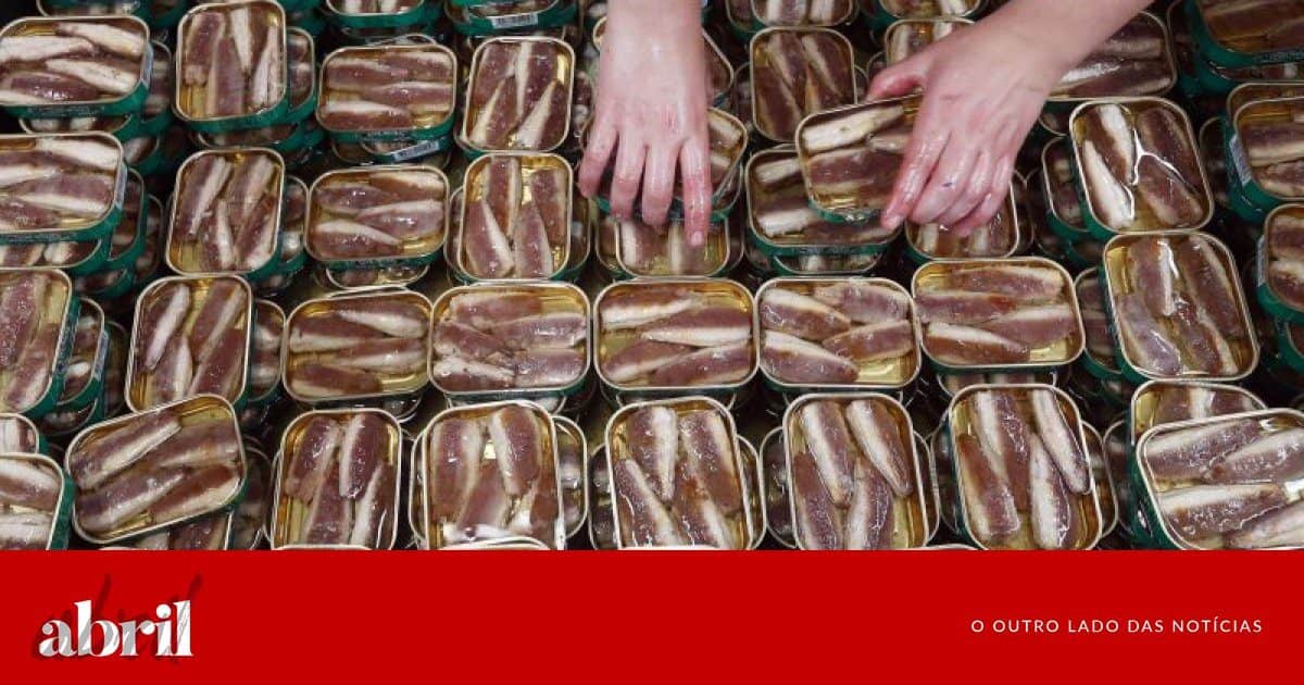 Sindicato exige testes para todos depois de caso positivo na ESIP em Peniche