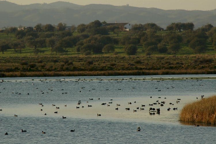 Trilhos de Portugal e as Salinas Tradicionais em Castro Marim