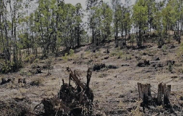 Mina de S. Domingos pode ter uma central solar