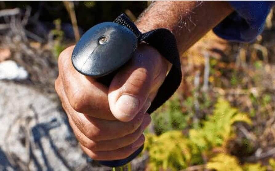 51 rotas para descobrir o Património natural do Algarve