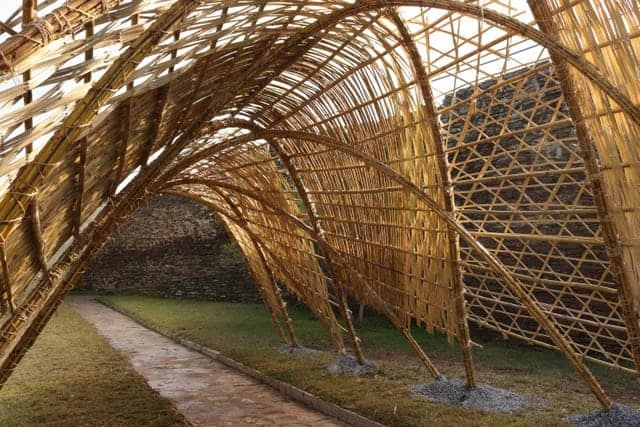 Uso da cana na bioconstrução é o tema da próxima «Conversa Qriativa»