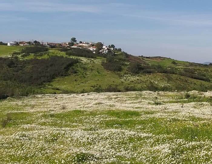 Campos das margens do Guadiana