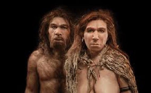 Acerca de Neandertais e da hibernação