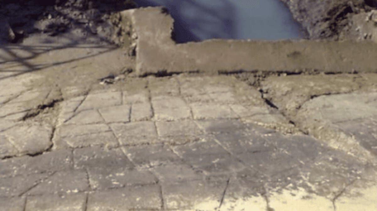 Poluição na Ria Formosa