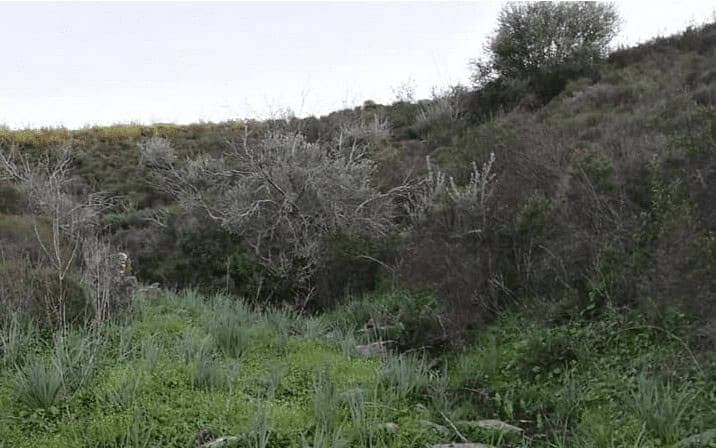 Lugares PM4 – Escorregadeiras – Mesquita