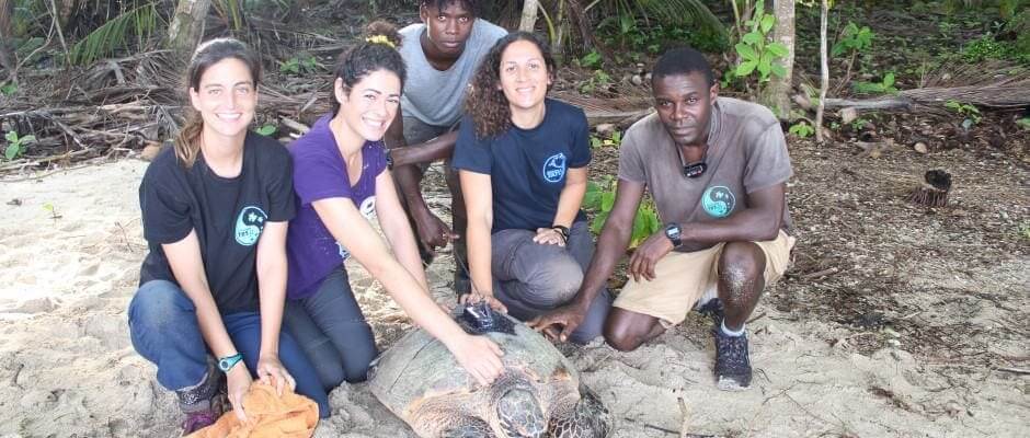 Coroa britânica dá prémio a biólogas marinhas da UALG