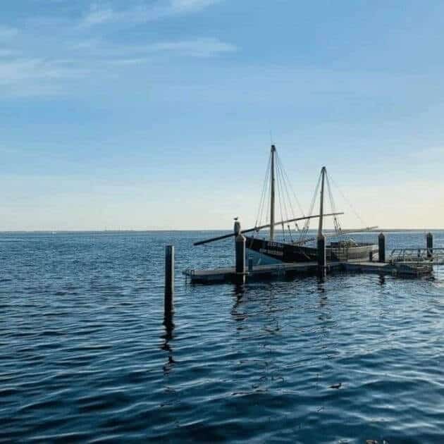 Virús bate com força em Olhão