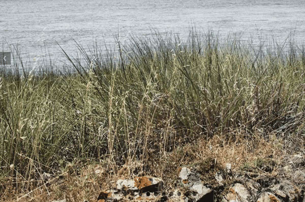 Casos por 100.000 /habitantes – Raia do Guadiana