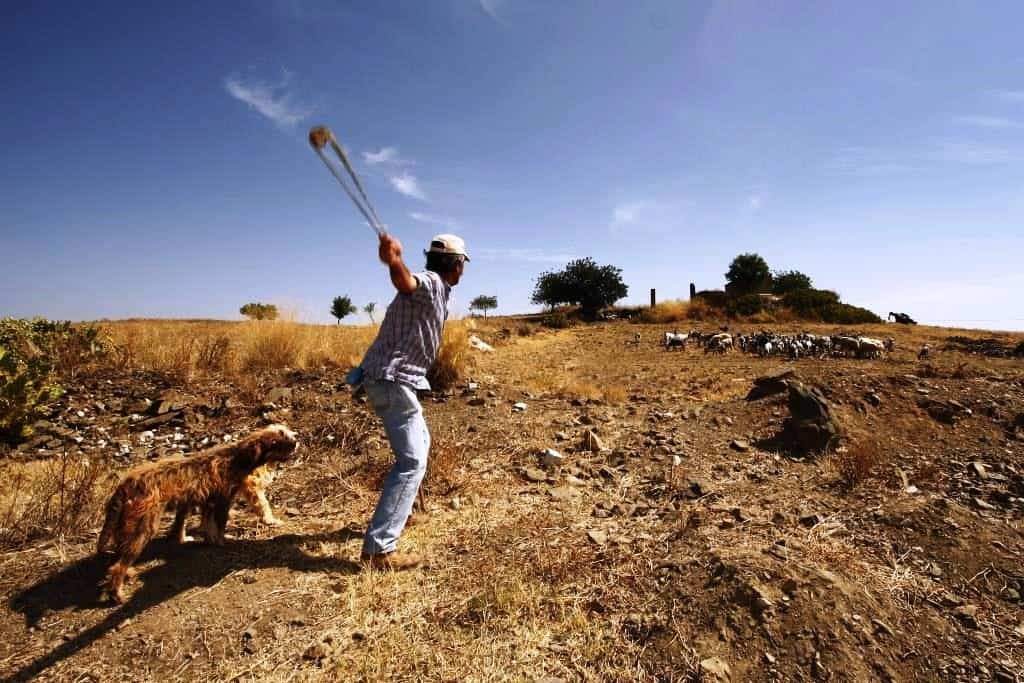 CiiP Cacela – Pastores de Santa Rita