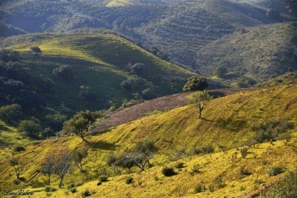 Serra no Baixo Guadiana
