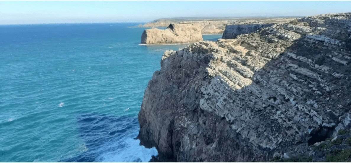 Retorno da pesca lúdica exigido na costa vicentina