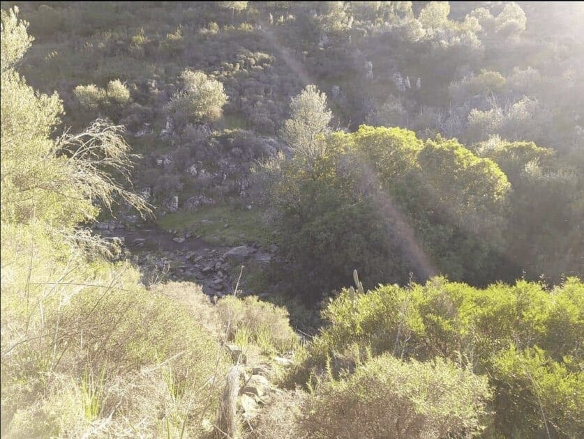 Margem do Guadiana – Amanhecer