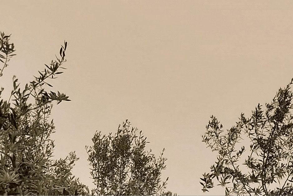 Poeiras do Norte de África