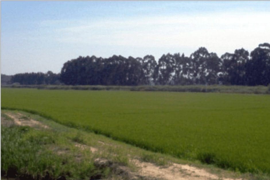 Alívio nas restrições ao consumo de água no Algarve