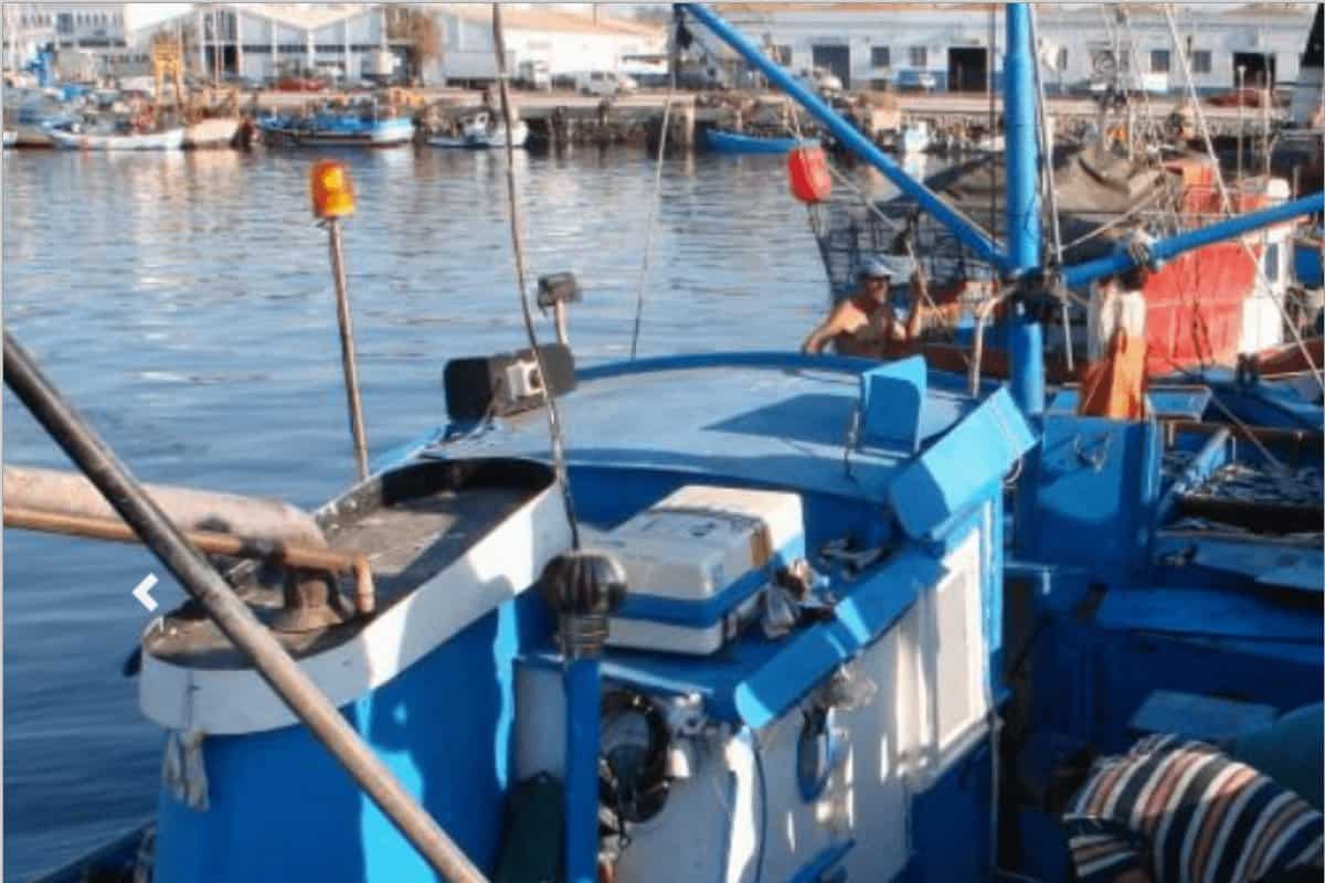 Capturas em águas nacionais aumentam em valores das pescas