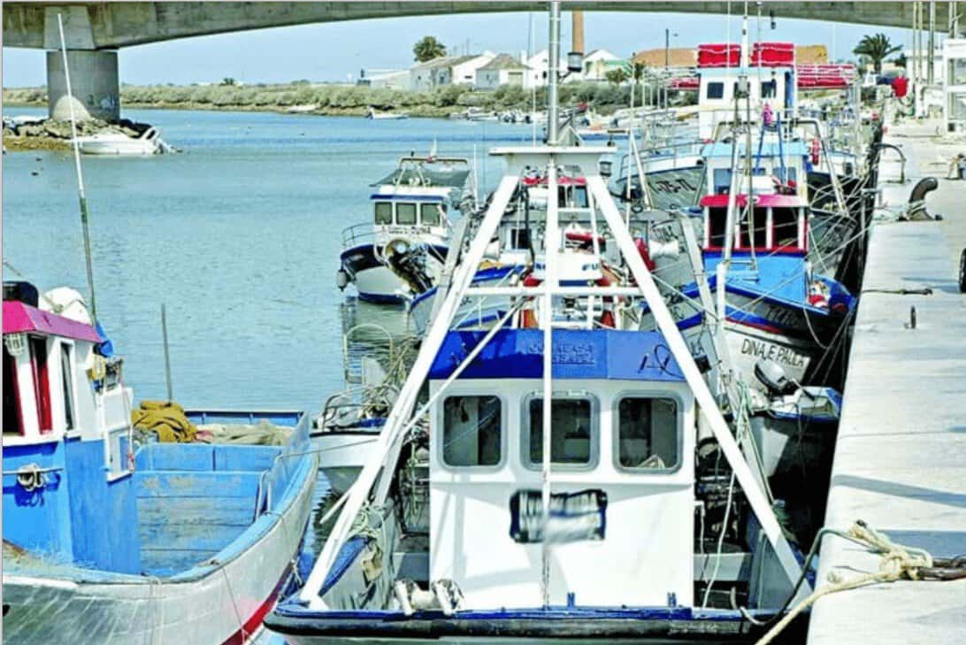 PCP quer plano de acção para os portos de pesca do Algarve
