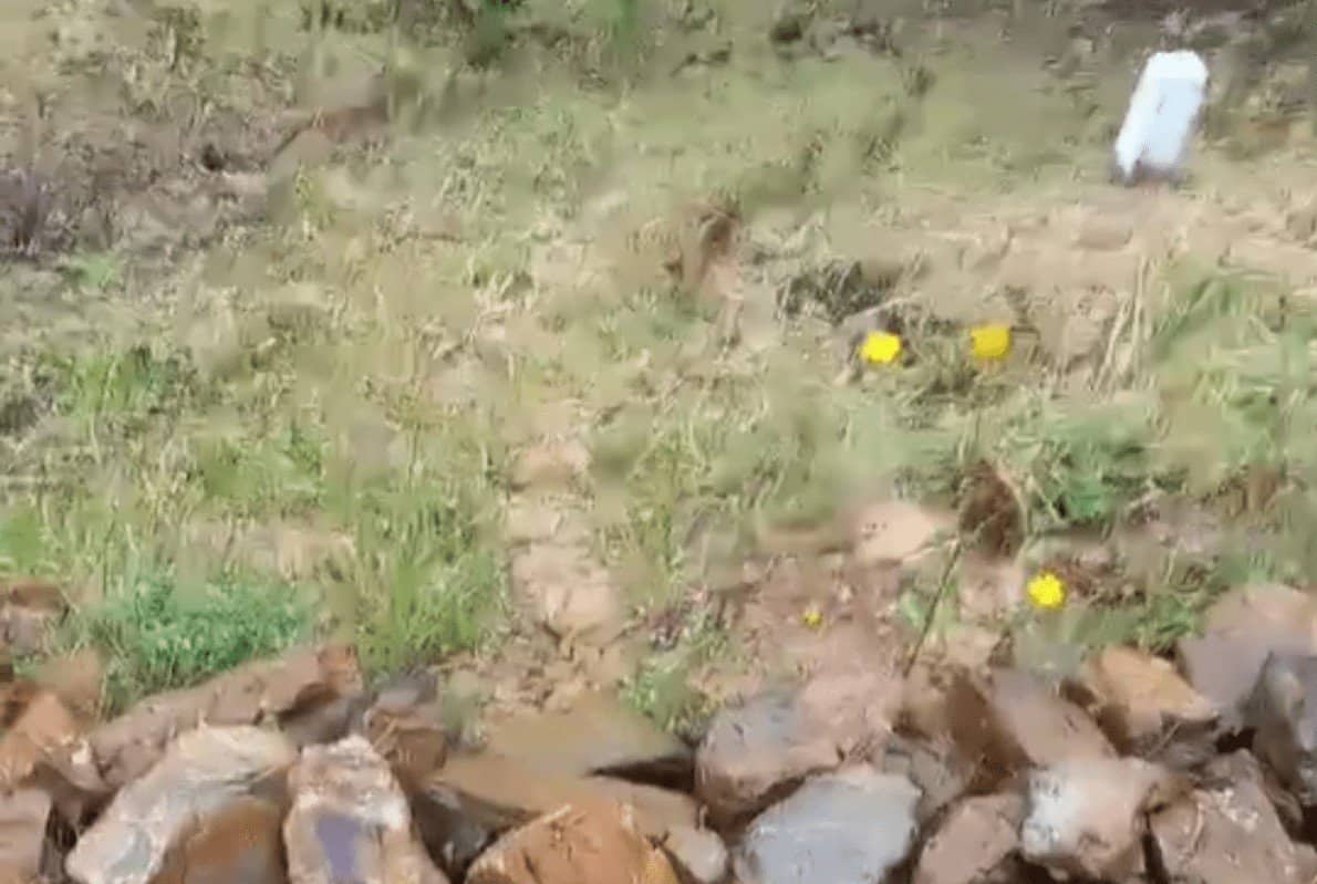 Hoje apontaram-me uma pistola …