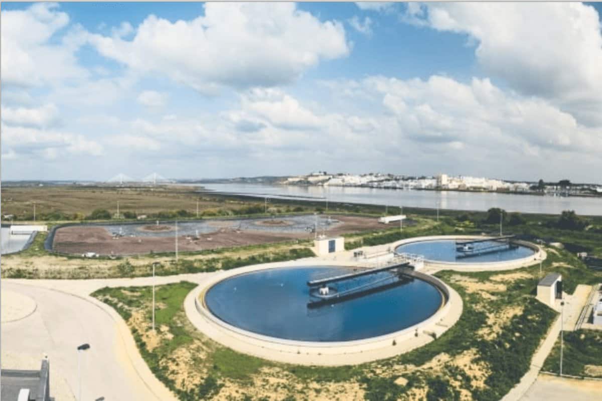 Perguntas da PAS sobre a área agrícola no Algarve