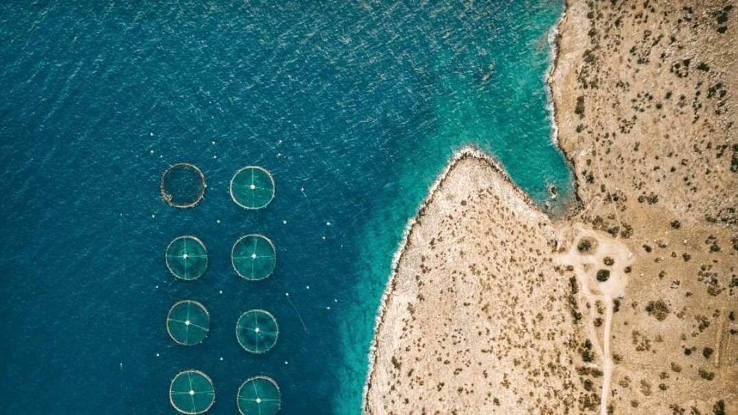 DRAP Algarve anuncia a aquicultores por telemóvel a qualidade da água