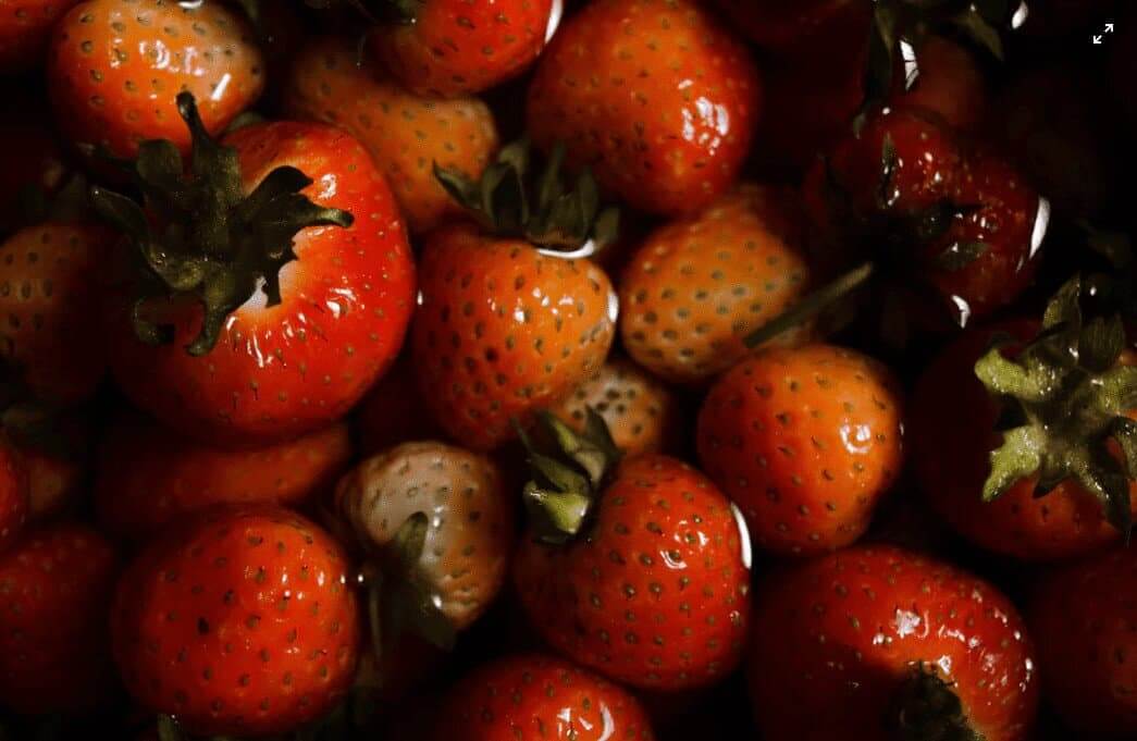 Teste PCR molecular identifica fungo do morango