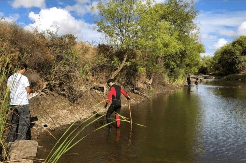 Bivalves de água doce na Bacia do Guadiana