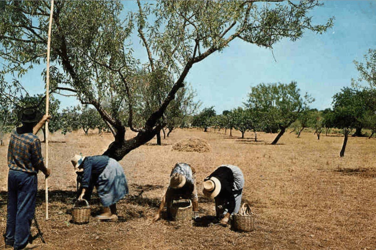 PATRIMÓNIO APANHADO NA REDE