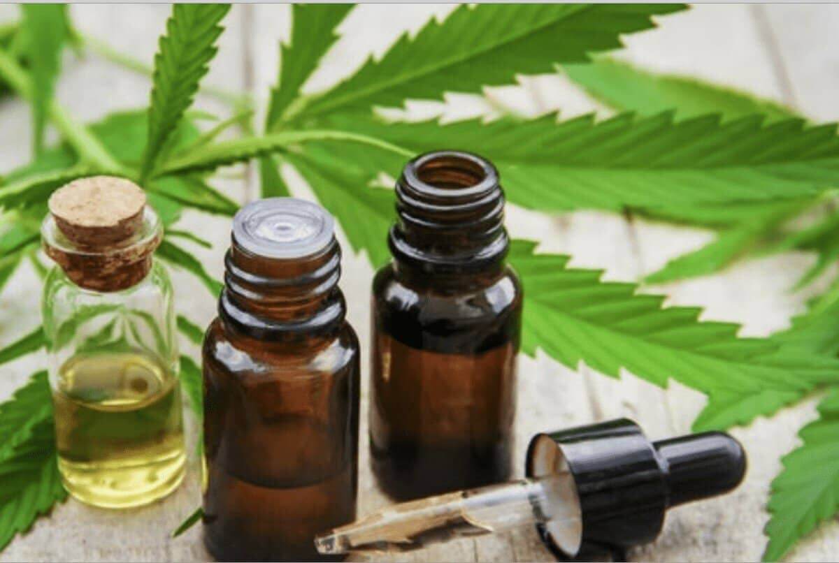 Canábis Medicinal nas antigas instalações da Gráfica do Sul