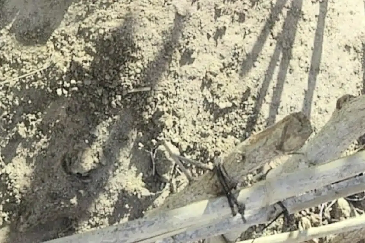 ADPM de Mértola com Monapo em Moçambique na compostagem