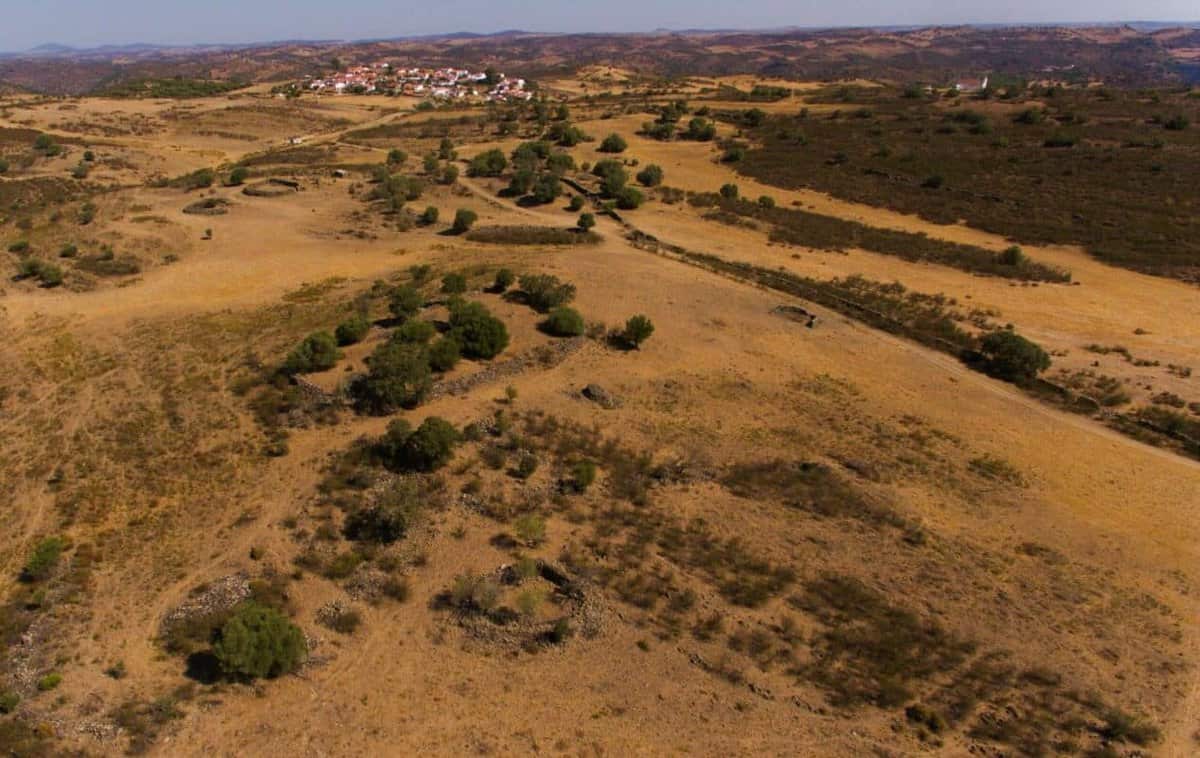 «Cercado das Alcarias» Mesquita-Mértola publicam resultados