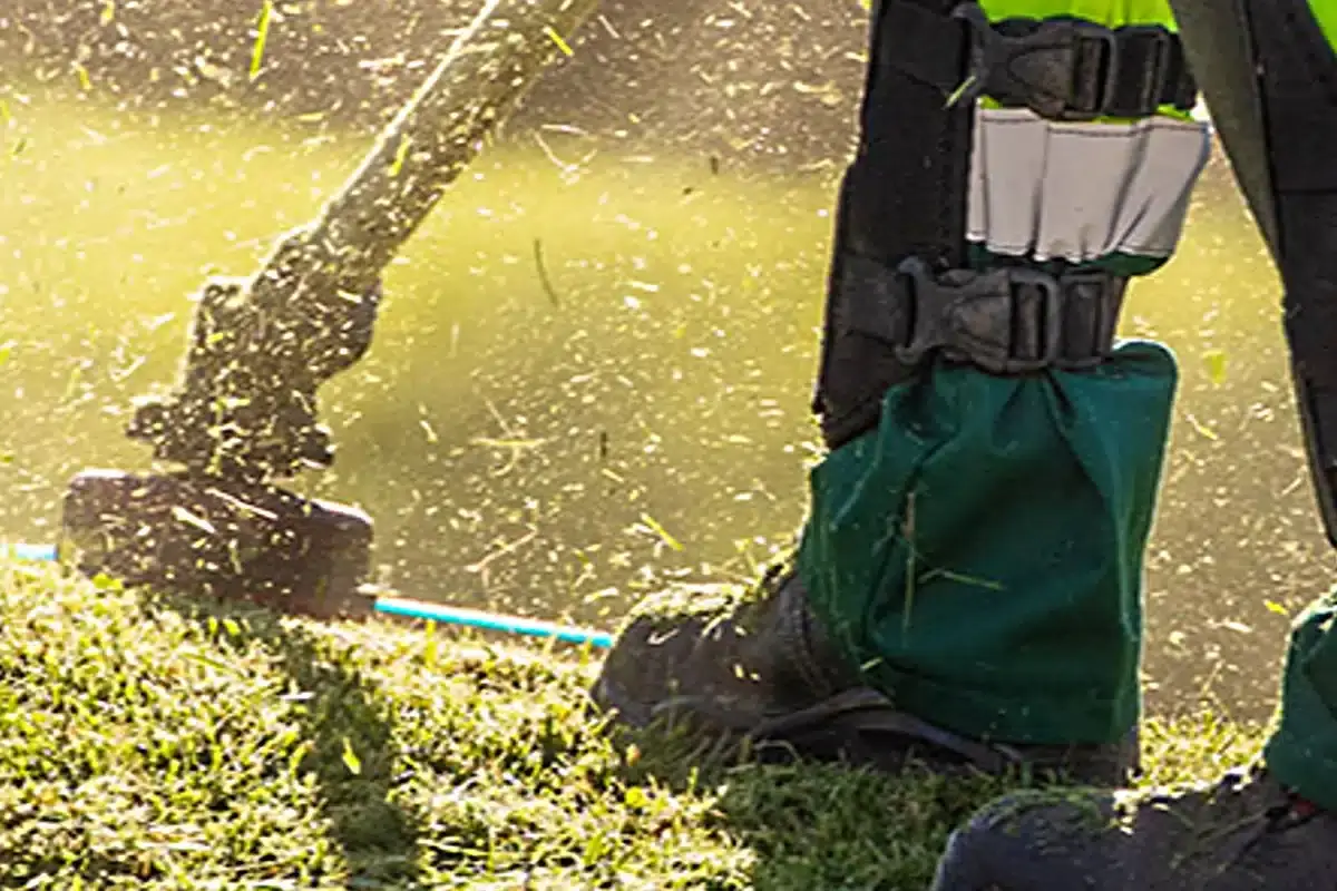 «Ecoambiente» pode ter contrato renovado em VRSA