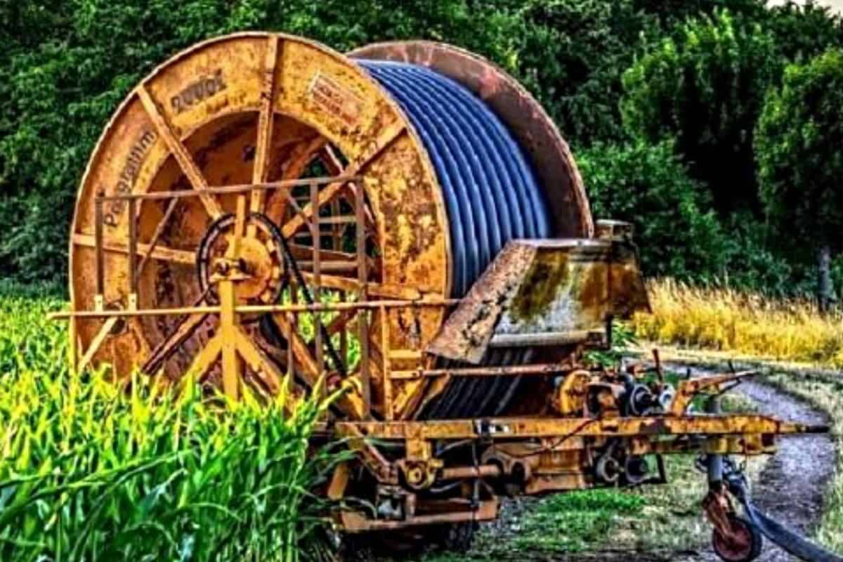 Maior percentagem da superfície agrícola utilizada não usa regadio