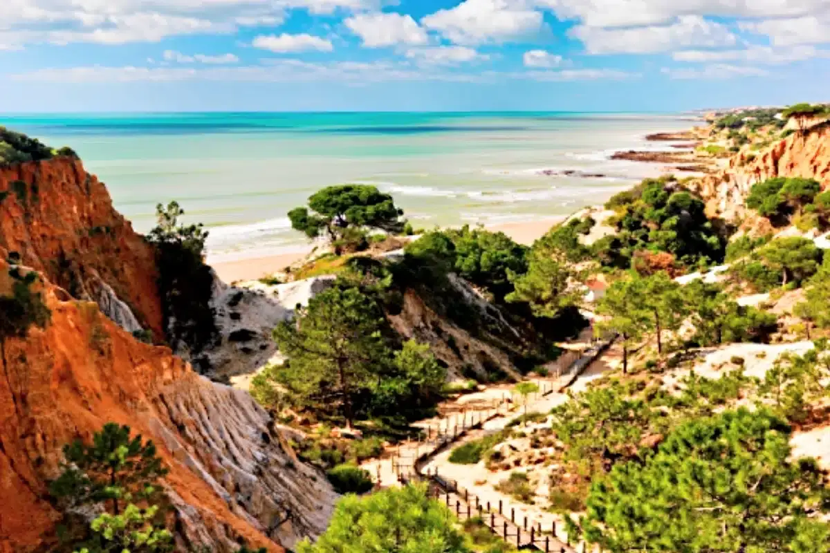 Meia centena de vagas para captação de talentos na hotelaria