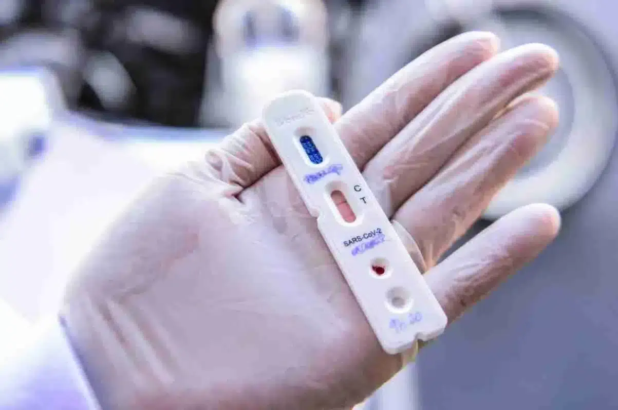 ???????????????????????? ????̀ ????????????????????-???????? ???????????? ???????????????????????????????????????? ???????? ???????????????????????????????????? ???????? ????????????????????????????????