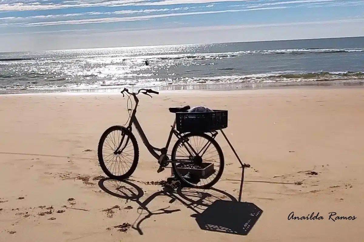 O dono está na água a trabalhar