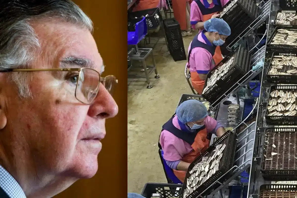 Morreu Manuel Ramires industrial de conservas