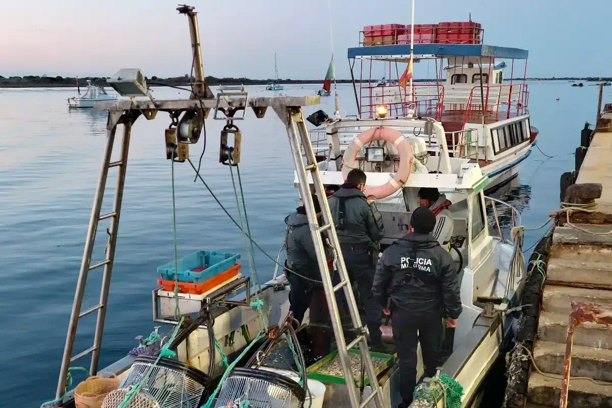 Bivalves apreendidos  e devolvidos ao mar