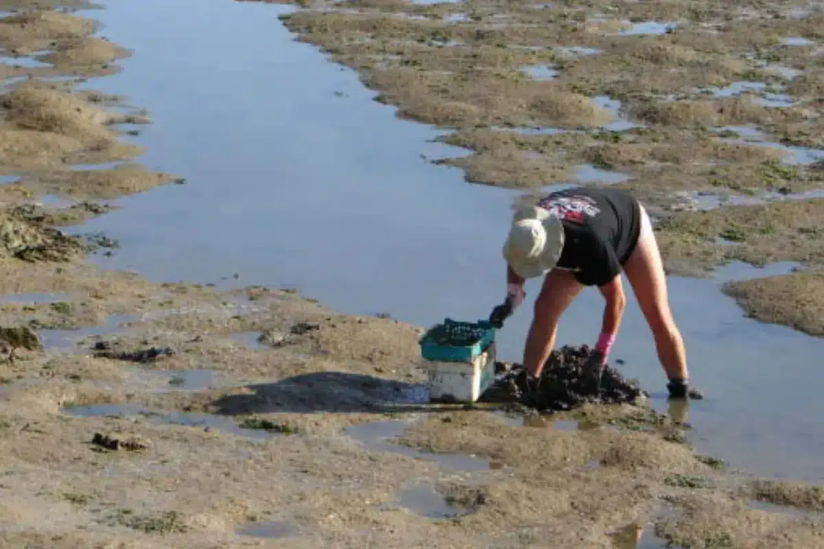 É mais uma aposta no turismo