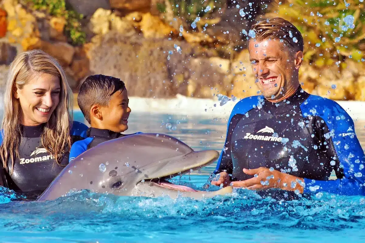 Reabre o parque aquático Zoomarine