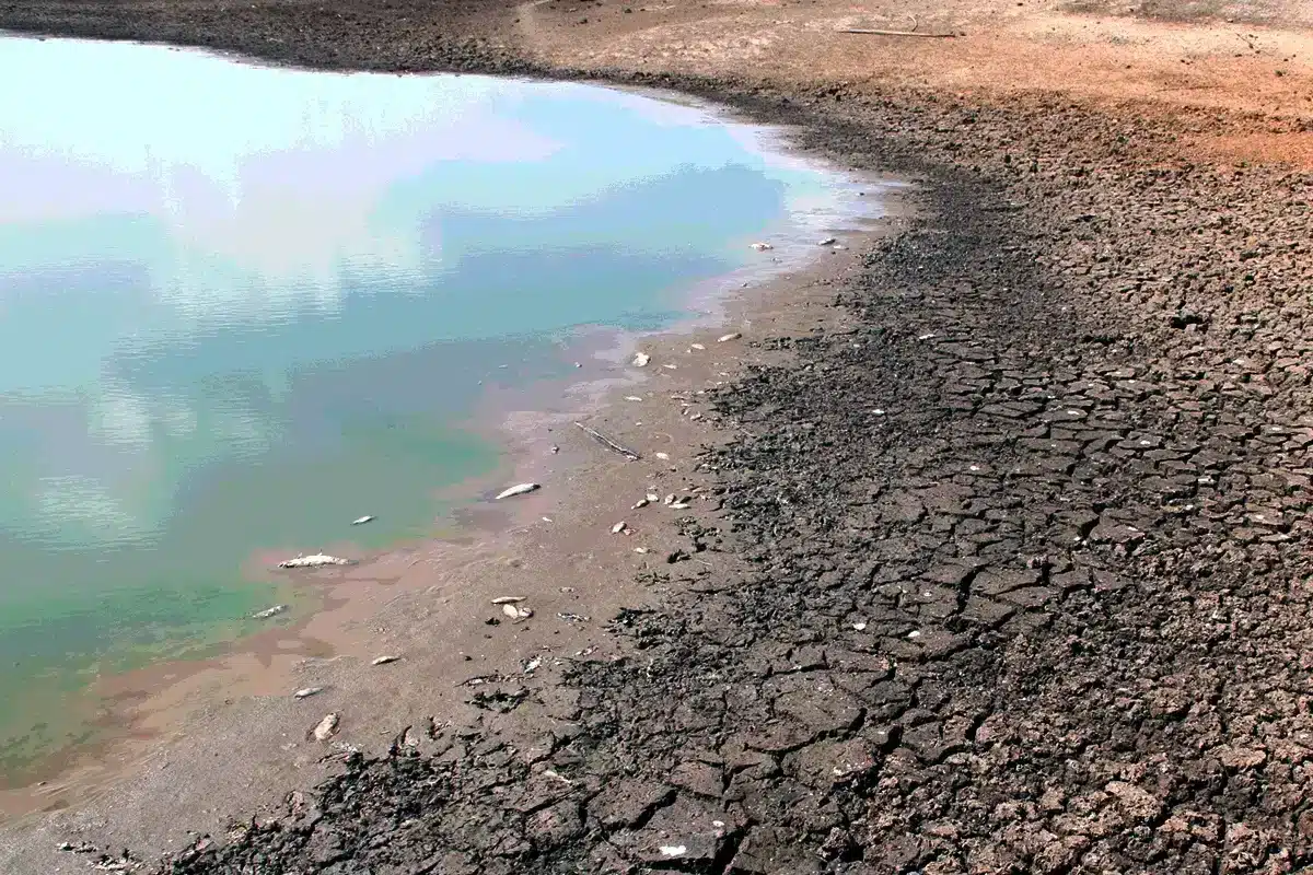 Seca em Loulé vai ter plano de contingência