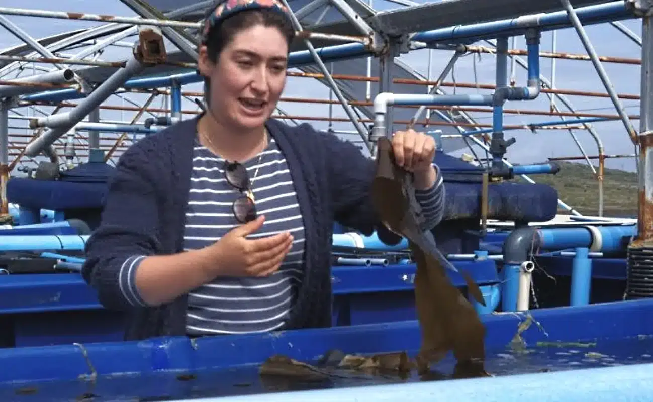 Projeto «Acess2Sea» promove visita à Irlanda