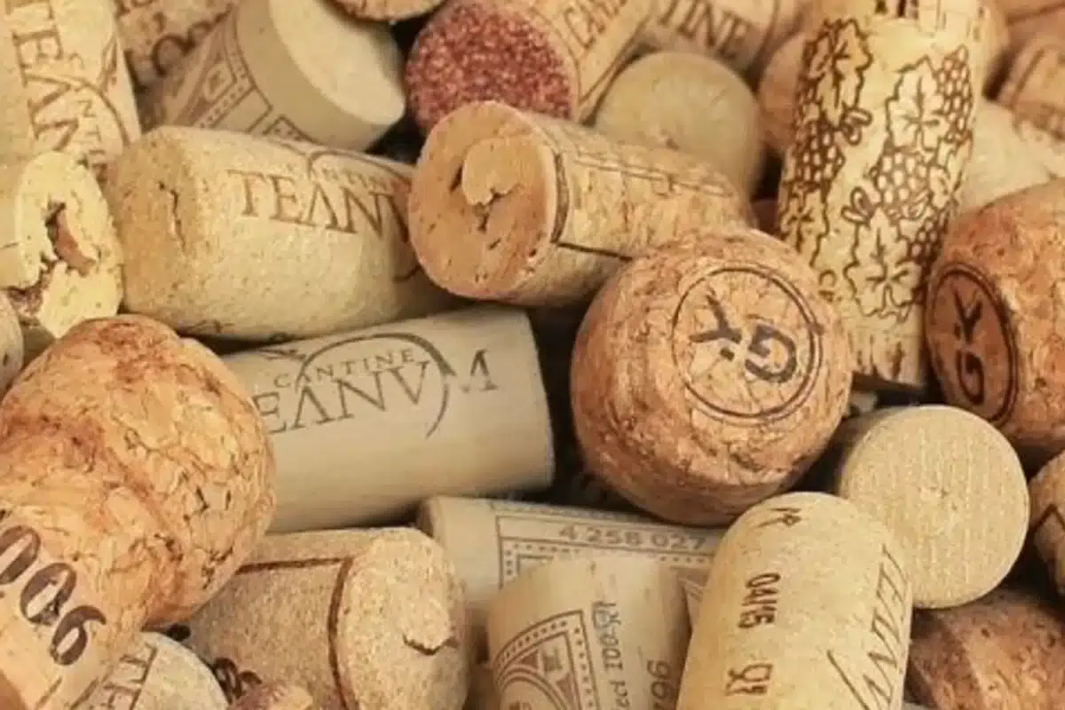 Uma árvore plantada por cem rolhas recolhidas