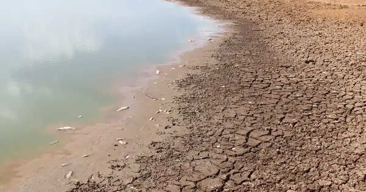 Contingência no Algarve para combater a seca