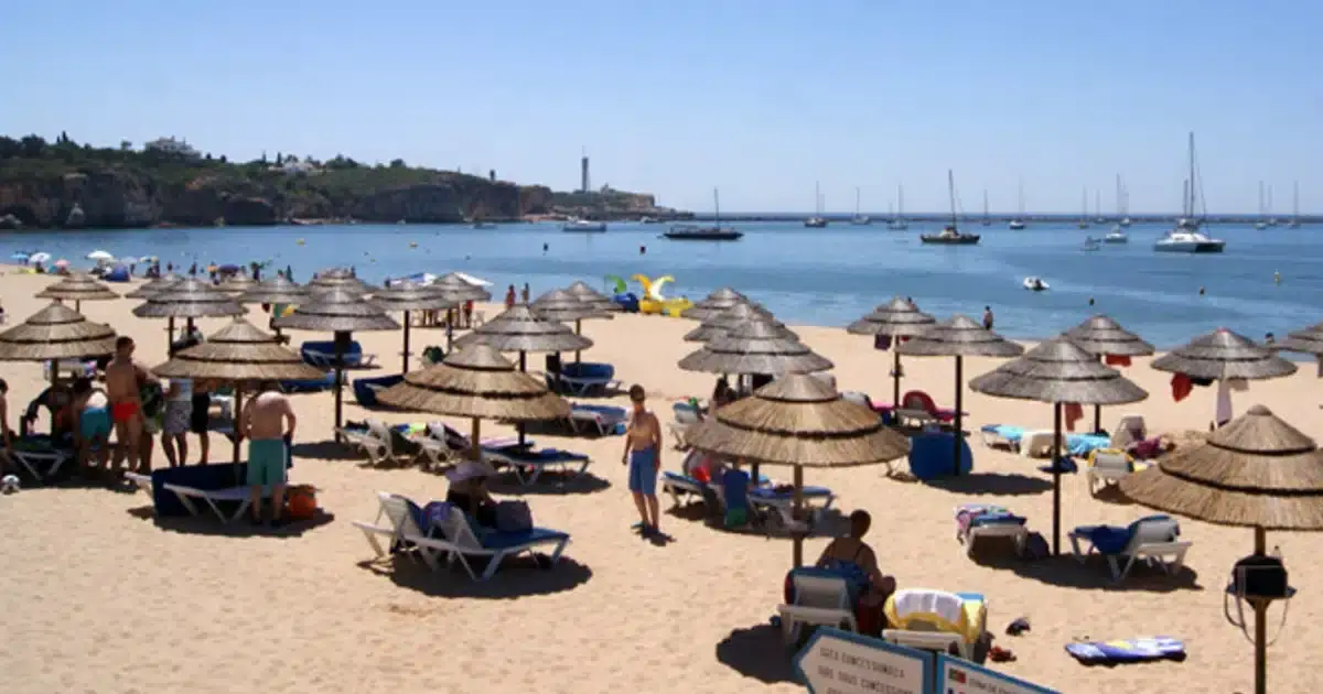 Presos em Lagoa autores de fogo posto